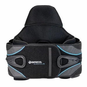 Breg Pinnacle LSO 631/648 Back Brace - Picture 1 of 21