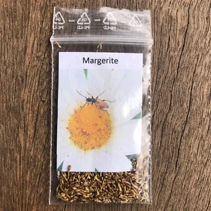 Margerite insektenfreundliche Wildblume Samen-Portion Bienenwiese - Bild 1 von 1