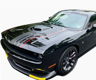 Shakedown Shaker Stripes For Challenger Dodge Decal Sticker GT R/T Hellcat 392 - Image 1 of 4