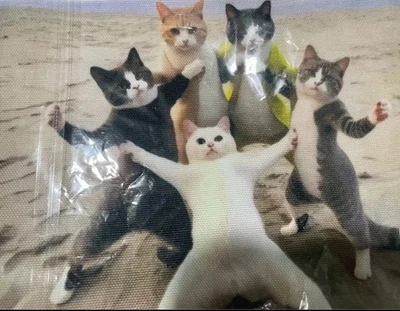 New Funny Cats Make Up Wash Bag Pencil Case - Image 1 of 4