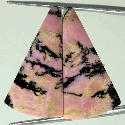 25.70Cts Natural Rhodonite Cushion Pair Loose Gemstone Earring Making 14x25x4mm - Image 1 of 4