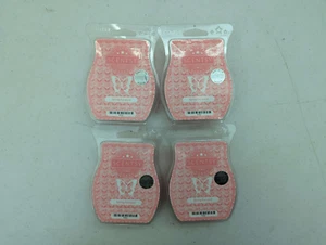 4x Scentsy Spring Forward Wachsschmelzriegel 3,2 Oz. - Bild 1 von 2
