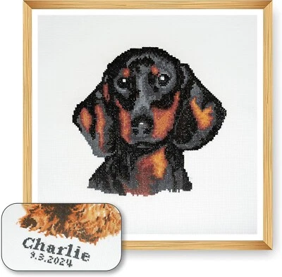 TRIMITS Sausage Dog Cross Stich Kit Dachshund Counted GCS108 36cm x 36cm