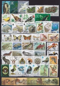 002 - Russia - Fauna -Birds -Fish -Dogs - Butterflies - 50 Different Used Stamps - Picture 1 of 2