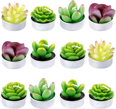 Swpeet 12Pcs Decorative Succulent Cactus Tealight Candles Kit, Cute Smokeless Su - Image 1 of 4