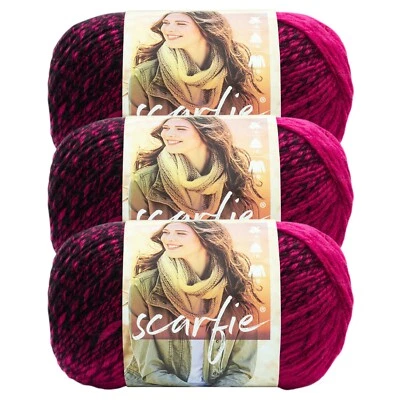 (3 Pack) Lion Brand Yarn 826-213V Scarfie Yarn, Black/Hot Pink - Image 1 of 4