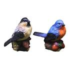 Miniature Bird Figurines Mini Accessories for Outdoor Fairy Garden Dollhouse