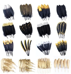 Black & Gold Goose Real Feathers Patterns Arts Craft Hats Costume Dream UK - Picture 1 of 17