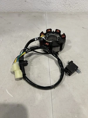 Estator Magneto para BETA RR 2T / 4T / Xtrainer 026100050000 026.10.005.00.00 Foto 1 de 4