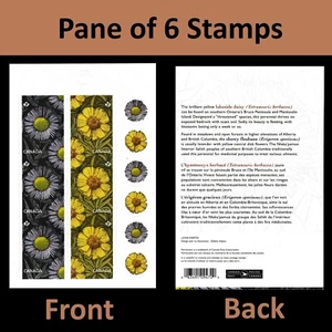 Canada 2979-2980 Daisies P pane 6 MNH 2017 - Picture 1 of 3