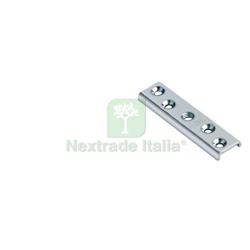 1PZ PIASTRINA RICAMBIO 10 MA PER CARRELLO A 4 CUSCINETTI ART.40 24+42: - Immagine 1 di 1