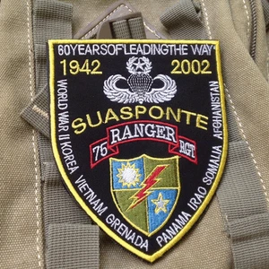 USA 75th Ranger Rgt U.S. Army Commemorative 60 Years Badge Sfg Hook PATCH - Picture 1 of 6