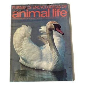 Purnell’s Encyclopedia Of Animal Life Magazine Volume 6 Number 4 - Picture 1 of 12
