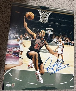 Dennis Rodman Signed  16x20 photo JSA Proof COA NBA Chicago Bulls HOF Detroit - Picture 1 of 1