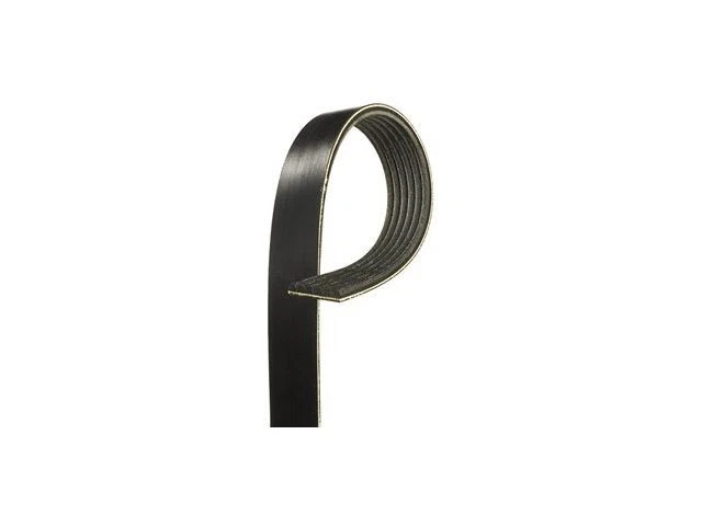 Power Steering Multi Rib Belt For 2001-2003 Mitsubishi Montero Sport TG364PT - Image 1 of 1