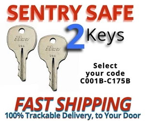 Sentry Safe Keys Firebox Cash Box Replacement Key Cut to your Code C001B-C175B - Picture 1 of 3