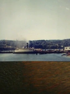 THE STEAMSHIP M.V. SAN MATEO  5 X 7 COLOR PRINT BAINBRIDGE ISLAND WASHINGTON - Picture 1 of 12