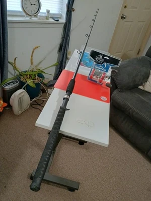 baitcasting Fishing Rod Berkley Fusion 6'6" MH 10-25lb And Reel Coastal Tuff - Image 1 of 4