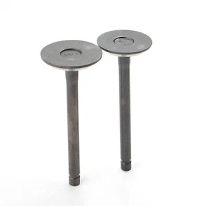 Einlass- und Auslassventilsatz für EZGO Gas 4-Takt 295 cc 350 cc ab 96 Fuji-rob - Picture 1 of 7