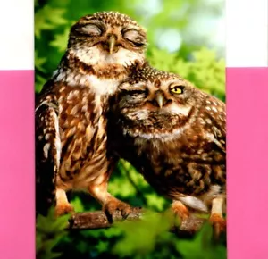 Happy Valentine's Day Screech Owl Owls Always Love You Greeting Card - Picture 1 of 3