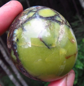 GREEN OPAL GORGEOUS RARE AAA GRADE POLISHED CRYSTAL PALMSTONE MADAGASCAR *5 - Picture 1 of 7