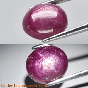 5.81ct 10.5x9mm Oval Cab Purplish Red 6 Ray Star Ruby (Heated Glass Filling) - Picture 1 of 12