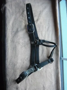 schiefergrau schweres weiches Nylon Gurtband Kopfband Cob/Vollmetallbeschläge gebraucht - Bild 1 von 4