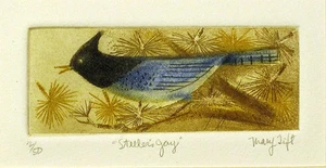 Vintage MARY TIFT Limited Numbered Color Etching STELLER'S JAY Bird SIGNED 2/50 - Picture 1 of 2