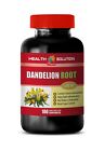 diuretics for water retention - DANDELION ROOT - dandelion root tea 1B