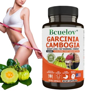 Garcinia Cambogia Kapsel fördern Fettverbrennung Stoffwechsel verbessern Stimmung 120 Pillen - Bild 1 von 11
