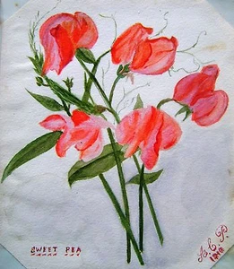 ÁLBUM AMICORUM FLORES FLORRIE GUISANTES DULCES CON COL A.C.P. 1910 - Imagen 1 de 1
