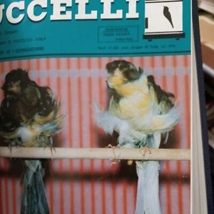 Rivista di ornitologia uccelli anno 1990 - Bild 1 von 5