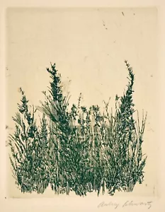 Artist's Proof for 1966 portfolio "Wild Flowers" etchings by Aubrey Schwartz - Picture 1 of 1
