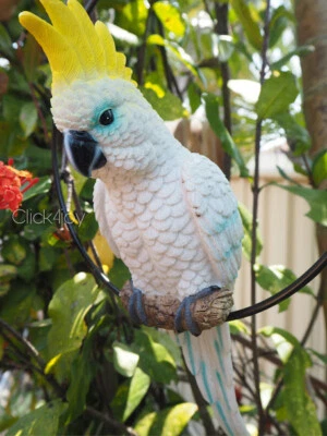 34cm Cockatoo Parrot Australian Native Bird on Hanging Swing Ring parrot  - image 1 of 4
