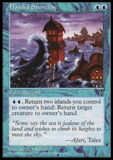 Magic the Gathering MTG Flooded Shoreline (32) Visions   LP