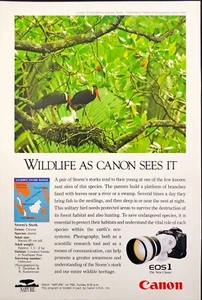 Canon EOS1 Camera Photography Storm Stork's Wildlife Vintage Print Ad 1993 - Picture 1 of 5