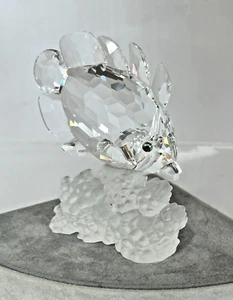 1991 Swarovski SCHMETTERLINGSFISCH am Riff Figur Neu im Karton! - Bild 1 von 7