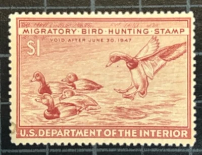 US Stamps - SC# RW13  - Duck Stamp - MOGH - SCV $50.00 - Image 1 of 2