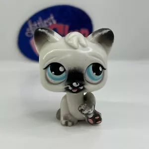 SIAMESE SHORTHAIR CAT #MM - Authentic Littlest Pet Shop - Hasbro LPS - Picture 1 of 4