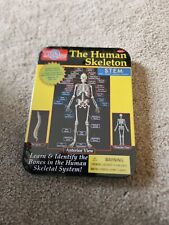 The Human Skeleton Magnetic Science Tin Stem Activity T.S. Shure Learning Bones