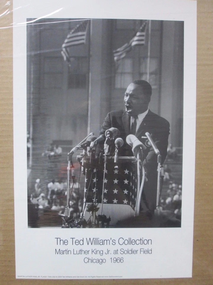 Póster de colección The TWC Martin Luther King Jr. at Soldier Field 1966 12488 Foto 1 de 1