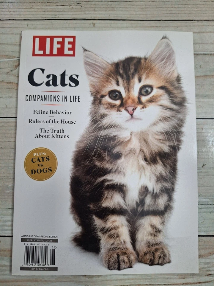 Life Magazine - The Dead Sea Scrolls An Ancient Mystery Discovered 75 Yrs Ago - 4/8/22