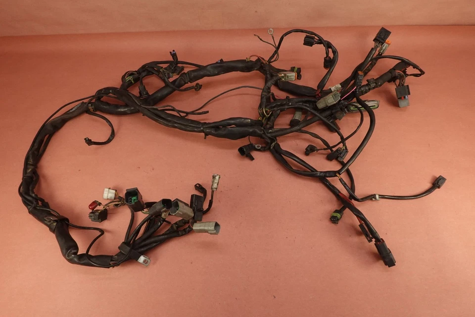Harley Davidson Road King 1999-2006 FLHRI arnés de cable principal telar de cableado Foto 1 de 4