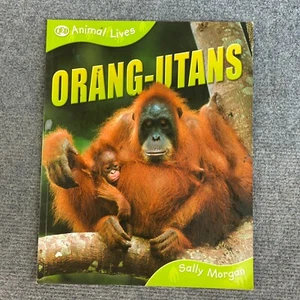 Orang-utans (Animal Lives) by Sally Morgan QED Publishing - Picture 1 of 7