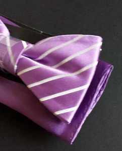 Countess Mara Ready To Wear Silk Bow Tie with Handkerchief Purple Stripes Fashio - Picture 1 of 6
