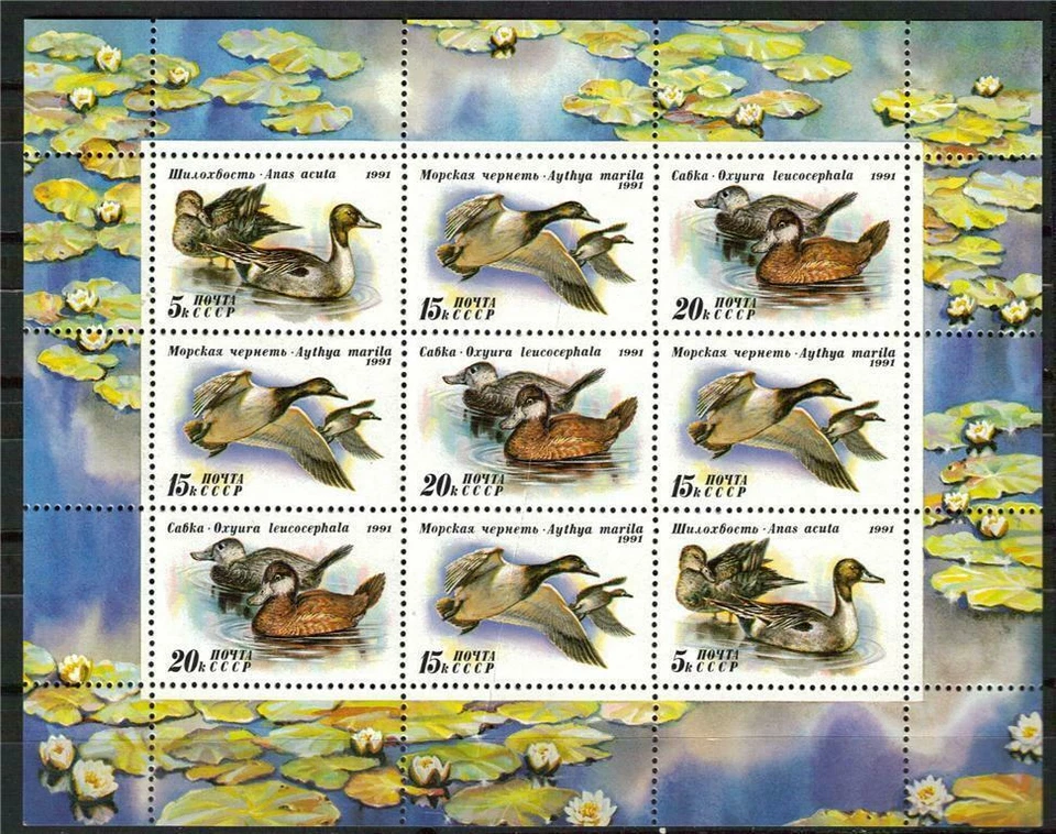 Russia Ducks 1991 Stamps Mint Never Hinged Mini Sheet of 9 Scott #6011a - Image 1 of 1