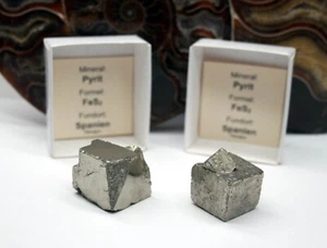 Cristales de pirita 2 piezas Navajun pirita oro gato cubo de pirita PY153 - Imagen 1 de 2