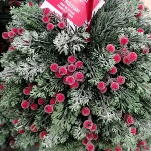 Martha Stewart 14" TOPIARY HANGING KISSING PLANT BALL Winter Cedar Fir Berry NEW - Picture 1 of 24