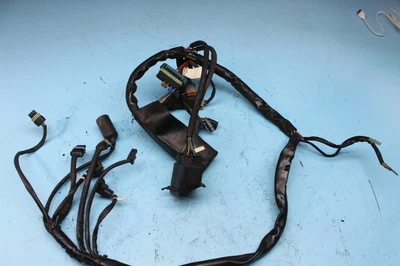 400 00 HARLEY-DAVIDSON ELECTRA GLIDE ARNÉS DE ALAMBRE TELAR ECU CUERPO DE TERROR FI BICICLETA Foto 1 de 4