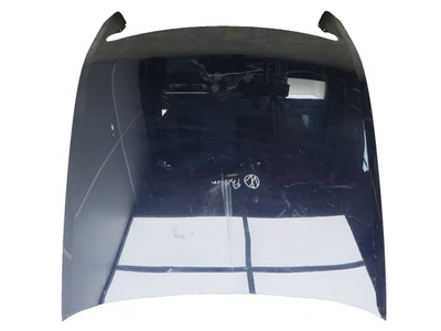 Capó Delantero Azul Metálico VW Phaeton 3D Primera Generación - Imagen 1 de 4